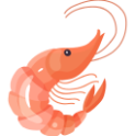 shrimp